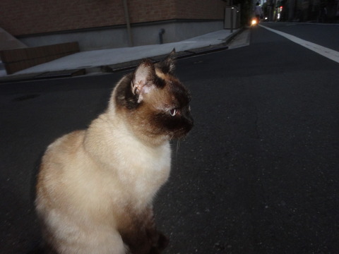DSC07398