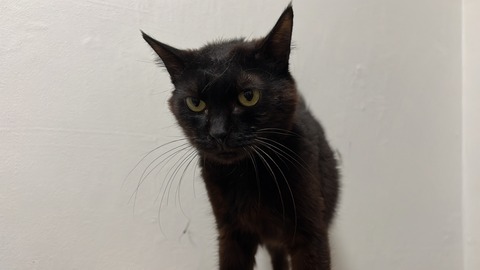 写真 2022-08-31 5 00 04