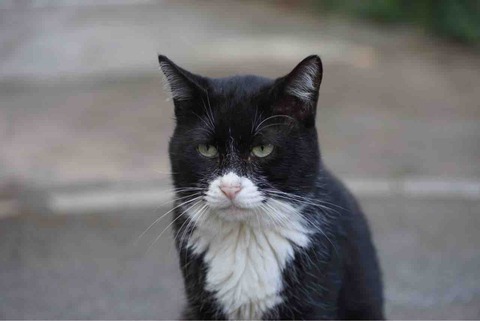 748C03E9-6F21-4E2E-BD8E-29726F8F50D9