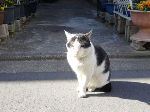DSC05333