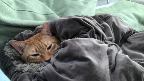 写真 2018-11-02 13 01 03