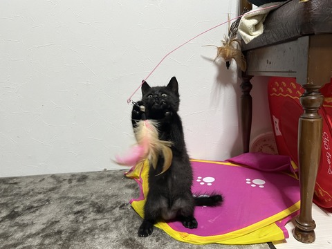 写真 2023-11-27 5 37 58