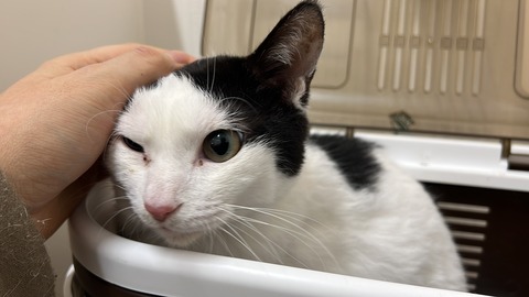 写真 2022-03-04 11 21 00