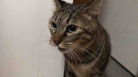 BE2B9954-57CC-49CE-9955-5FAC3DD1BA1B