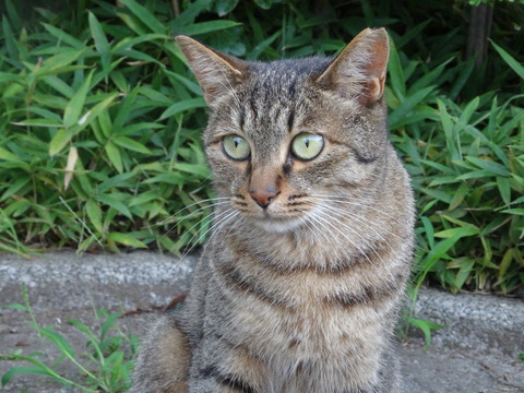 DSC00190