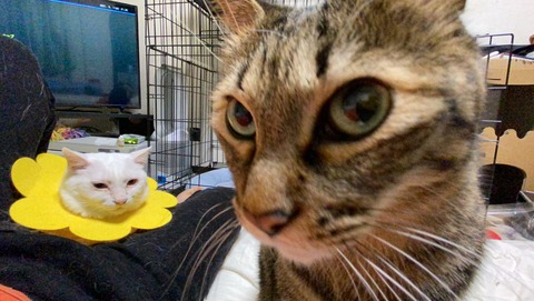 写真 2021-09-01 21 20 47