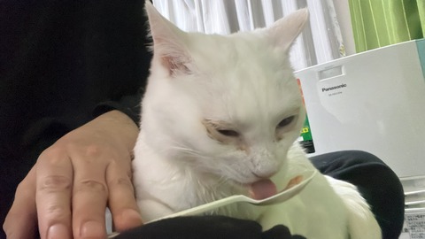 写真 2022-11-23 7 33 11