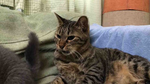 01007CE4-CD5E-49C8-BBC2-07E82FB021FE