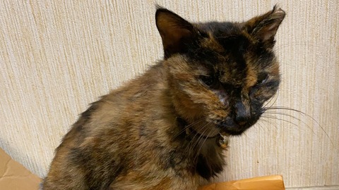 写真 2019-09-22 0 10 56