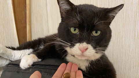 写真 2020-06-03 11 33 43