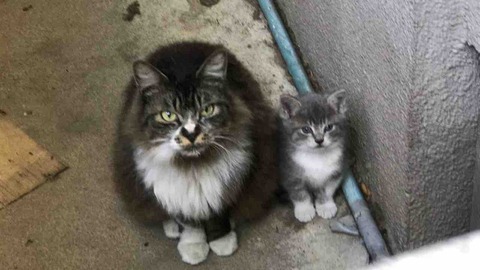 FF097C5C-DA34-4A6A-863F-FD526939240D