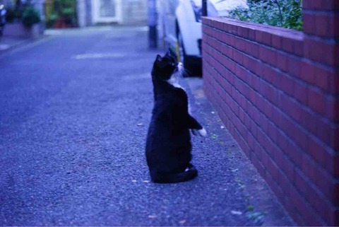 5189454A-7671-44F7-AA5D-F3CC1061F624