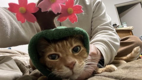 写真 2025-04-01 17 09 12