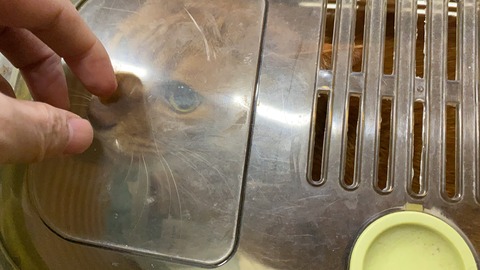 写真 2019-12-10 16 02 00