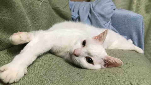 F5FD3444-CD49-49DC-9AFD-DF6DBADBBDFD