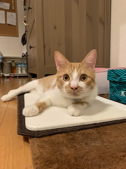 写真 2023-11-09 6 03 45