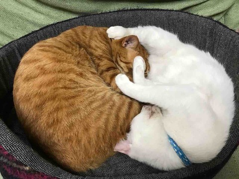 D60086F7-764D-450C-85CD-F4ABBD25A7C0