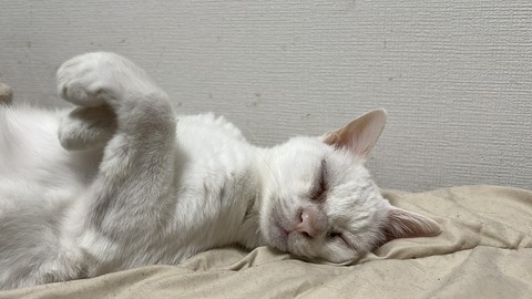 写真 2025-07-01 23 37 12