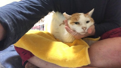 写真 2019-08-15 20 20 41