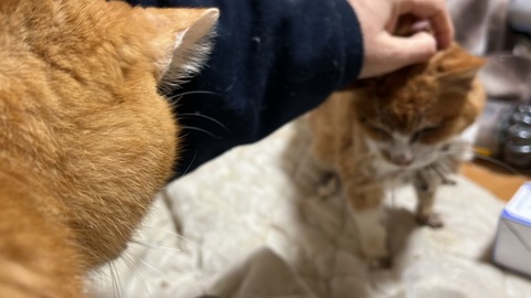 写真 2023-12-30 3 29 15