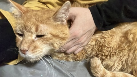 写真 2025-10-03 2 54 43