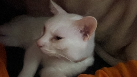 写真 2023-01-04 1 10 41