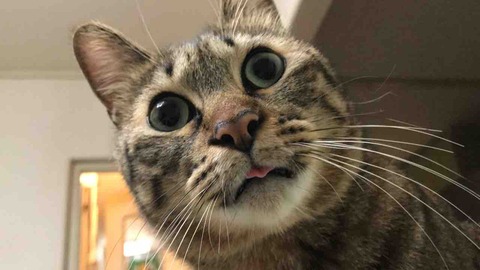 67FDB2D9-F102-41D8-8BB0-5B37687CA0B3