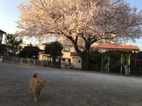 2015-04-02 17.01.37
