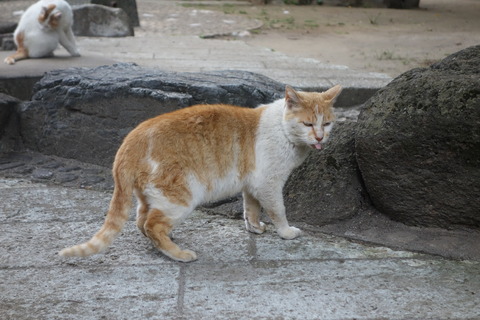 DSC02047
