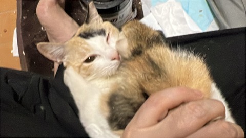 写真 2025-10-02 2 56 22