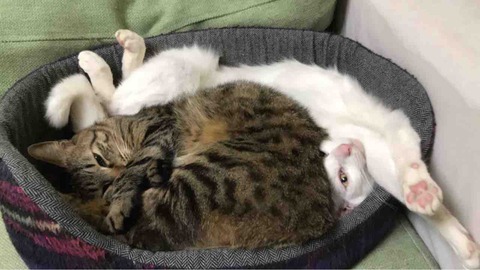 A1B923F7-E02A-4EA8-A1E3-4CF3B5F73F50