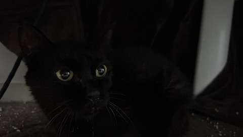 写真 2023-12-02 7 40 22