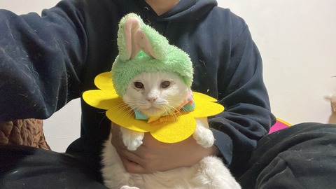 写真 2023-01-01 6 08 20