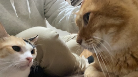 写真 2020-10-26 23 17 53