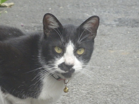 DSC09448