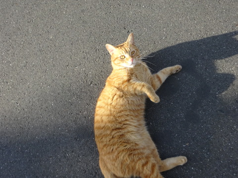 DSC05667