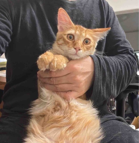 FullSizeRender