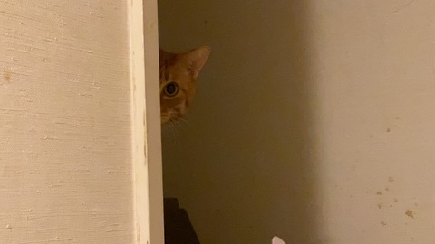 写真 2019-12-10 17 05 42