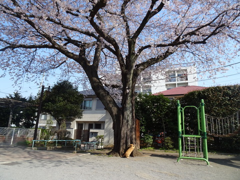 DSC05648