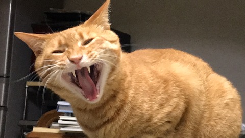 2017-05-15 00.43.11-1