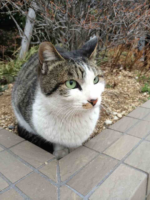 D4204871-96AF-43B6-BB7C-D6CB9BE041BC