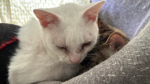 写真 2025-09-27 13 25 57