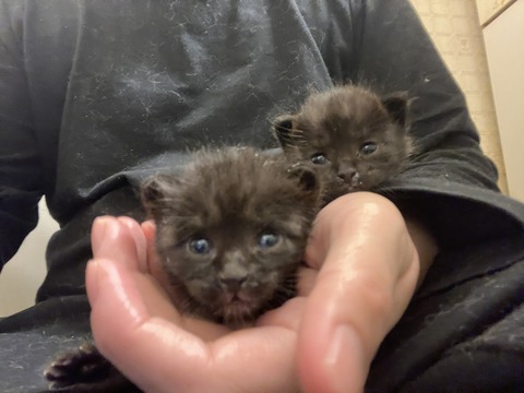 写真 2023-10-13 0 52 59