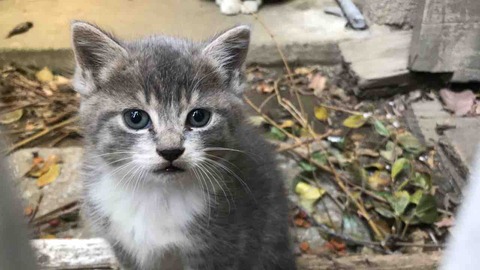 79AD4608-23E6-4548-98D2-C0A14BE09306