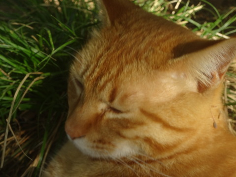 DSC07657