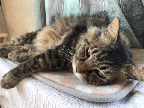 写真 2019-03-30 16 57 39