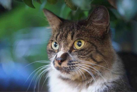 93DF7C9A-A0EE-4F71-A3F3-8C0F3CCFDB0A