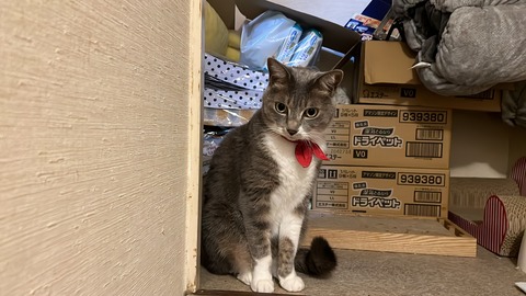 写真 2023-11-01 2 57 35