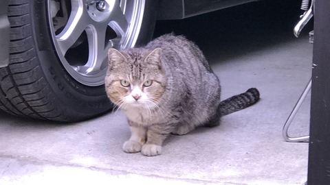 写真 2019-05-04 7 36 58