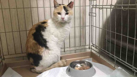 D0BAD3C1-5FF3-469F-8655-87995352E95D